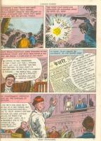 27_Picture 026
