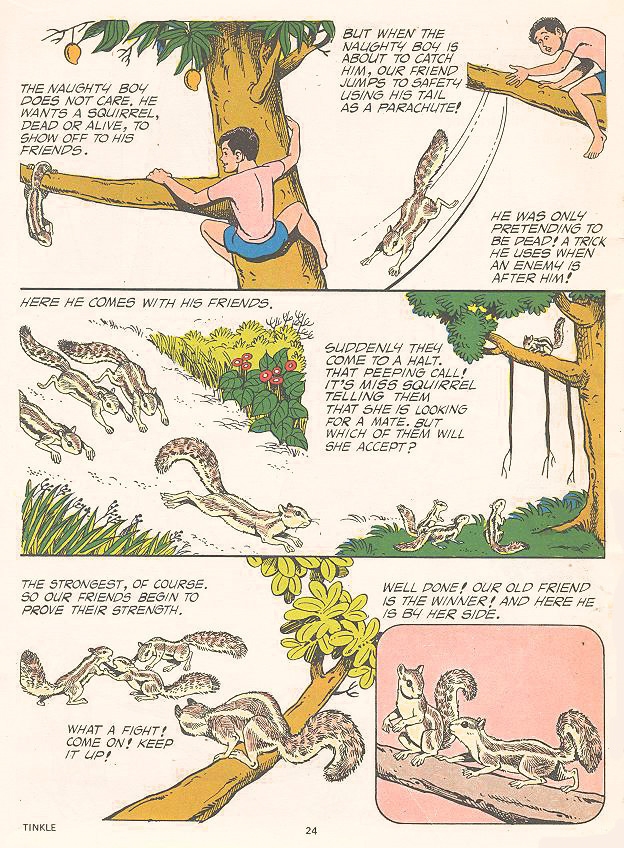 tinkle-26